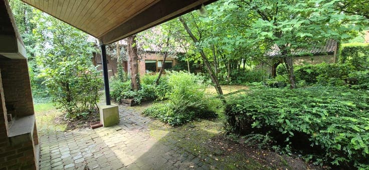Wake up in your own green paradise?
