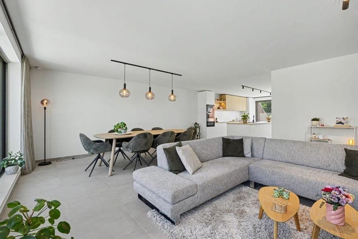 Duplex/triplex