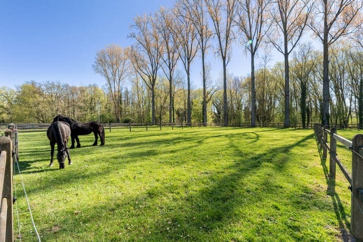 Exclusive estate with equestrian facilities & B&B