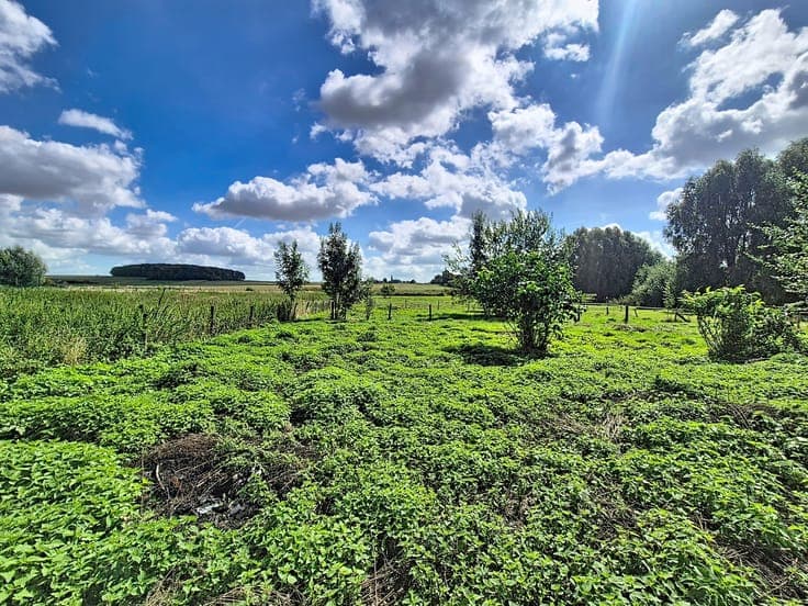 Spacieuse villa avec potentiel (poss. maison kangourou)
