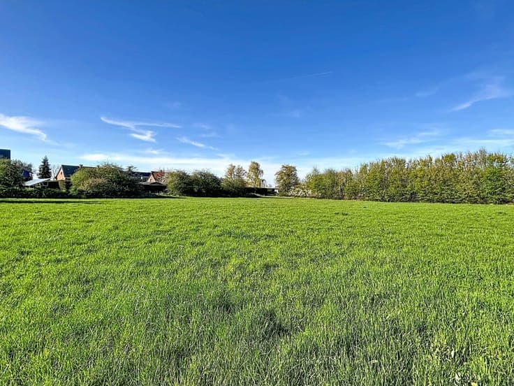 Mixed-Use Real Estate Complex with 10,000 m² of Land