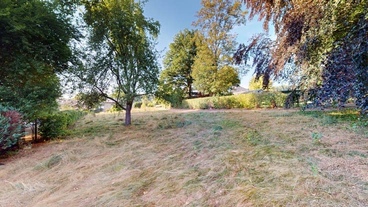 Ardennes house, large garden and huge potential