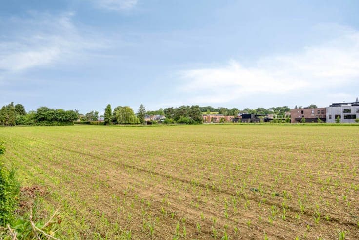 4-bedroom house with a large yard and a pleasant view