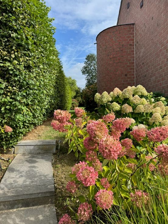 House in Braine-l'Alleud