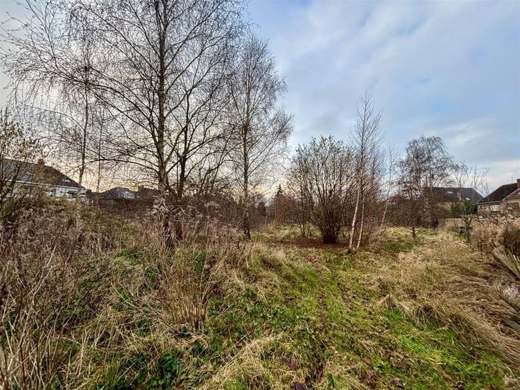 RUIME TE RENOVEREN WONING MET UITZONDERLIJKE TUIN EN VERGUND