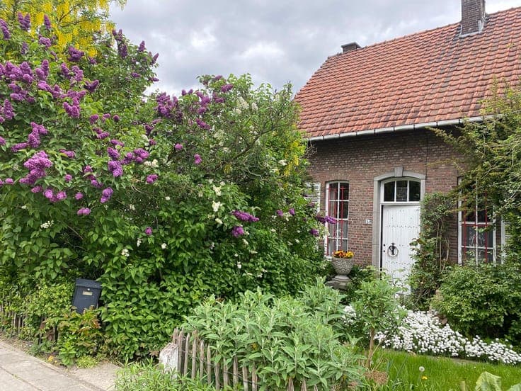 House in Lier