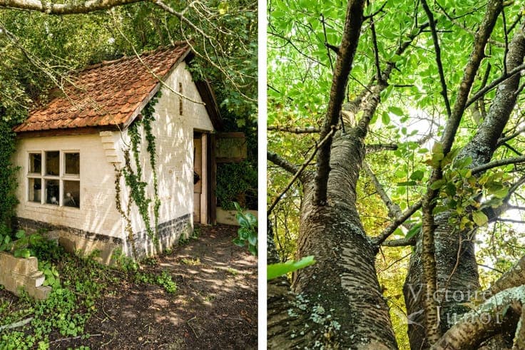 Charming 3-bedroom house with large garden and garage