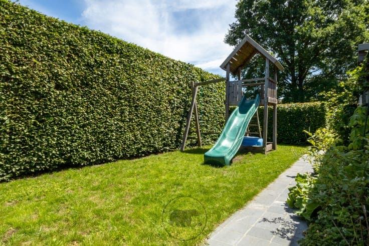 House in Dendermonde
