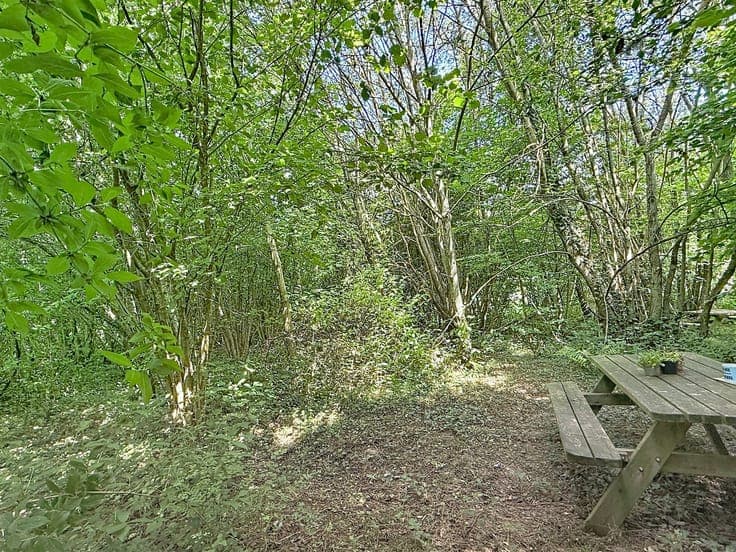 Chalet sur un terrain de plus de 23 ares