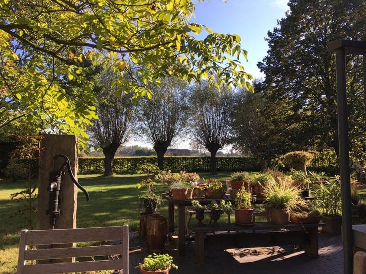 Charming 3-bedroom house on large plot