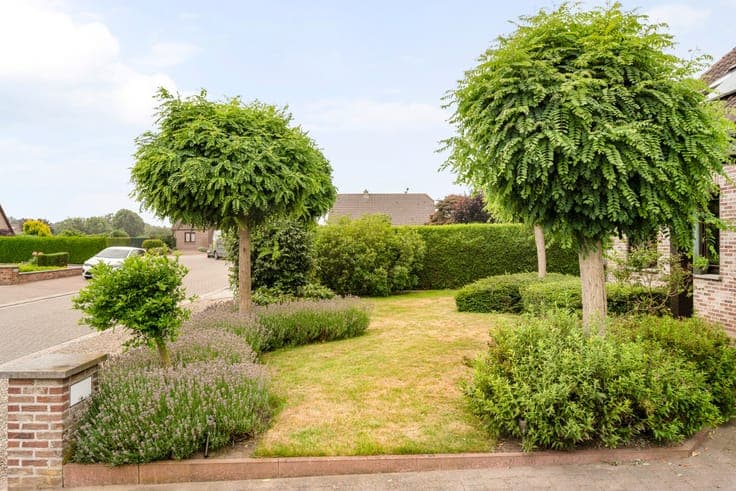 House in Bree