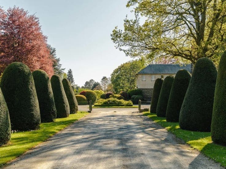 Rhode-Saint-Genèse I Forêt de Soignes