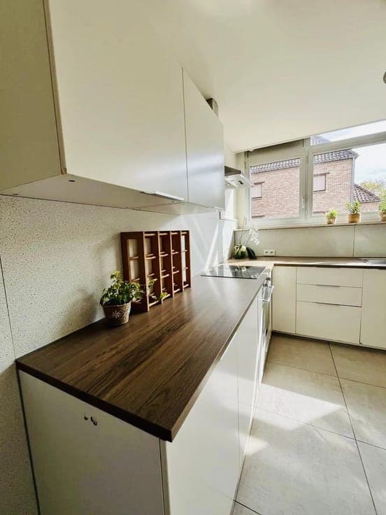 House in Hasselt
