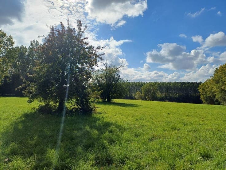 Ruime te renoveren hoeve met stallingen en bijgebouwen in...