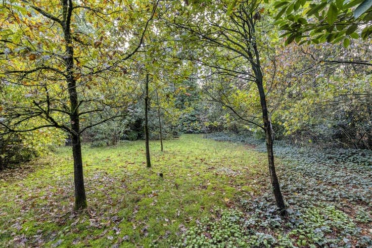 2 bedroom house in the residential forest of Essen-Wildert!