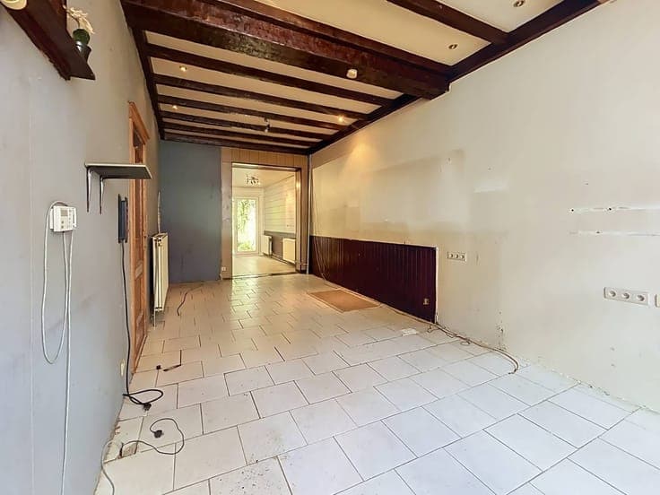 4 bedroom house to renovate near Rivierenhof
