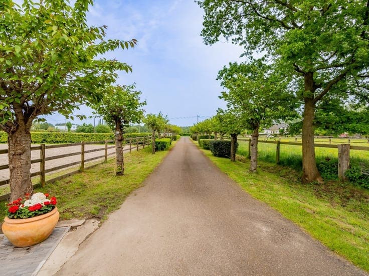 Beautiful stud farm on approximately 5.2 hectares in Hersel