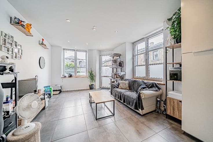 Two-flat investment property with rental income in Saint-Hub