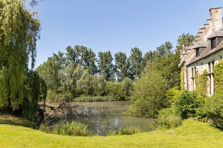 Historic castle farm and moated castle for sale in Grimberge