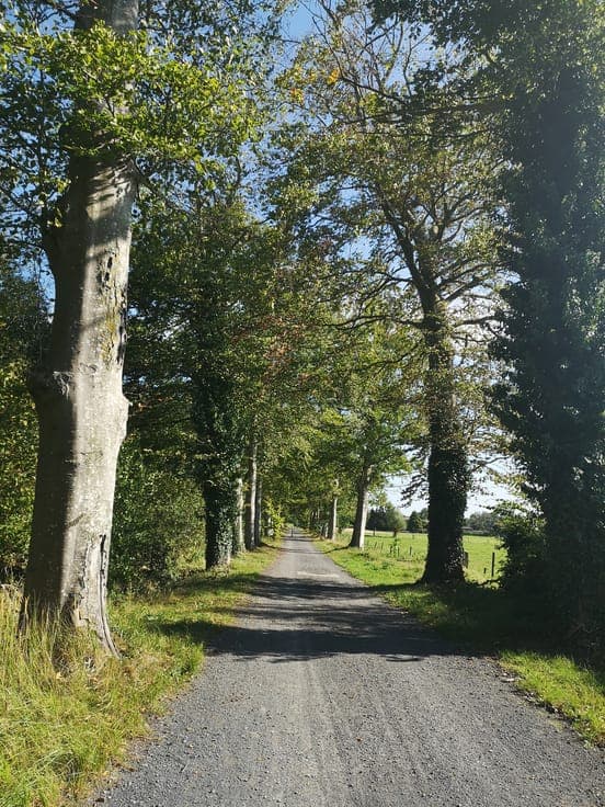 House in Zedelgem