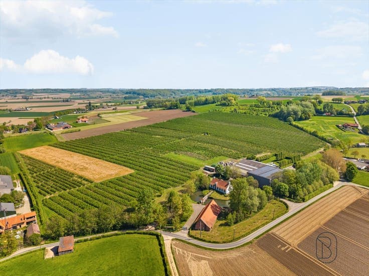Farmhouse (Fermette)