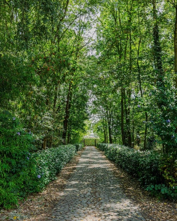 Exclusief parkdomein 'Lysdonck" op 5 hectare