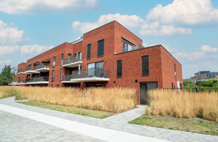 House in Rotselaar