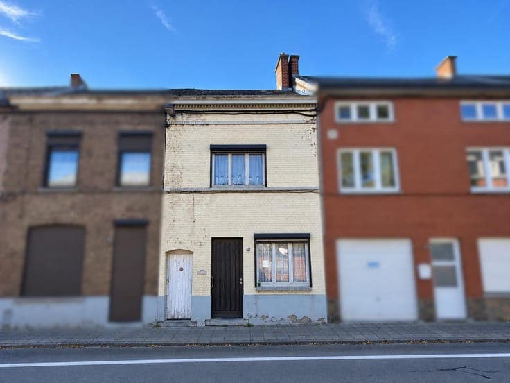 House in need of renovation with a garden and a side passage