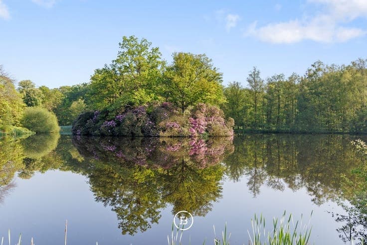 Unique estate of 38 hectares