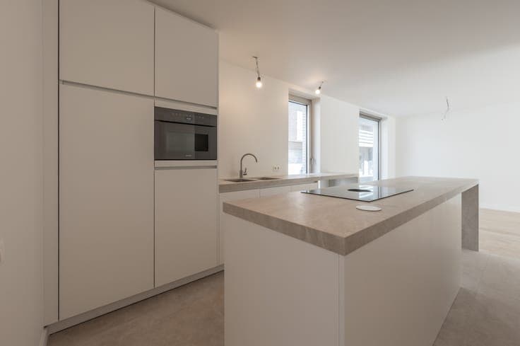 Project Oyster - New construction house