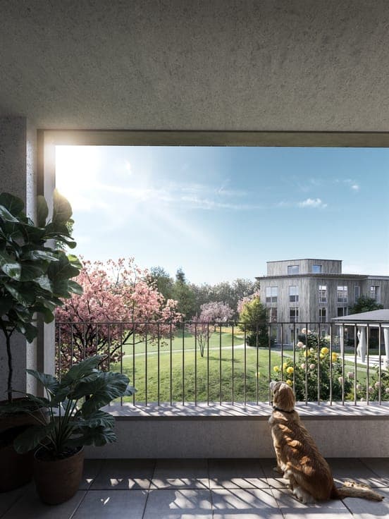 Benedicte, Coming home to a green oasis in Mortsel Village!