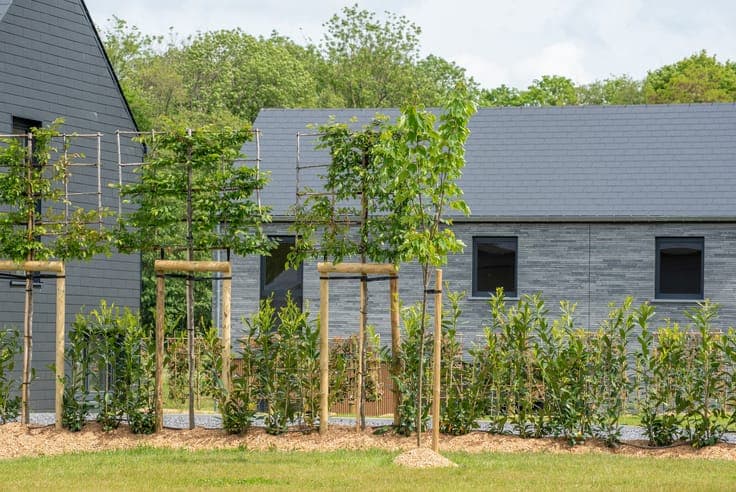 Beautiful New Homes with Unobstructed Views