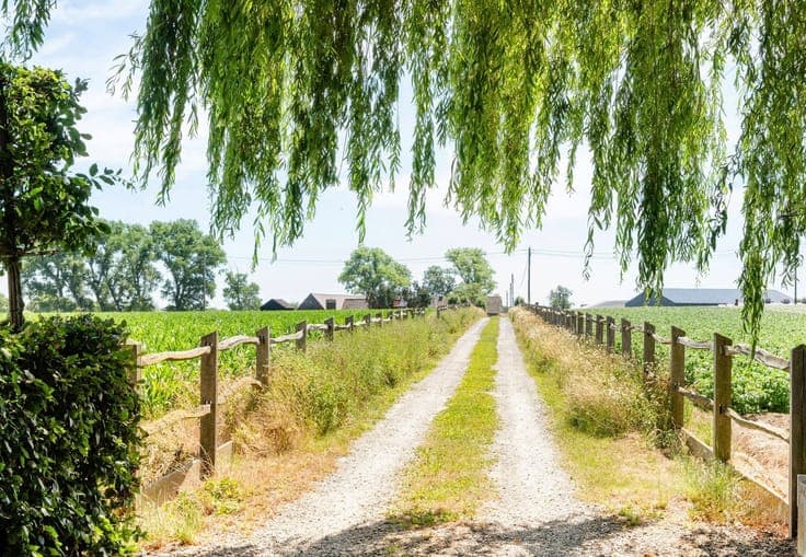 Farmhouse (Fermette)
