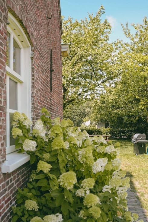 AXEL - Hoeve op een goede locatie met paardenfaciliteiten