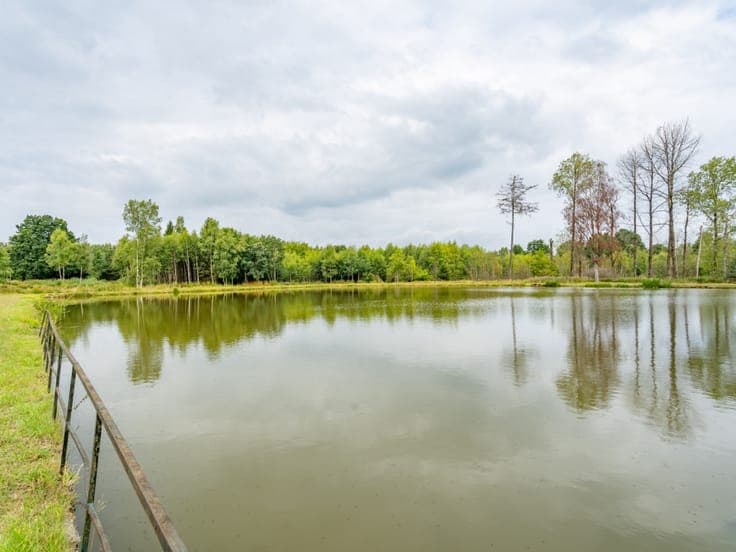 Detached house, 2 hectares with ponds, Bièvre