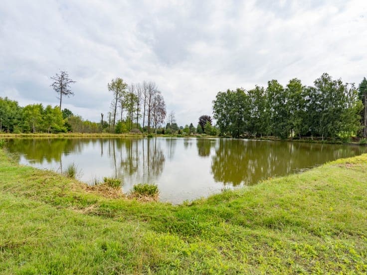 Detached house, 2 hectares with ponds, Bièvre
