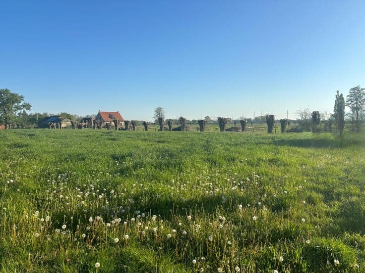 Oudenaardse Heerweg