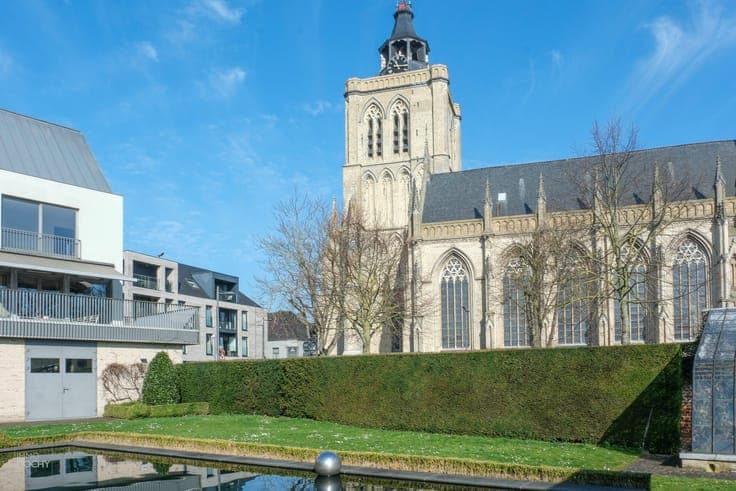 Heel ruime stadswoning met kantoren en tuin