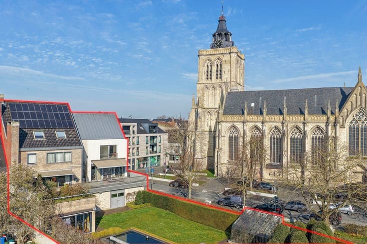 Heel ruime stadswoning met kantoren en tuin