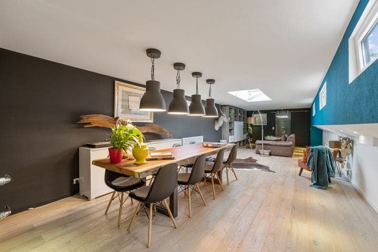 Perfectly maintained & renovated houseboat in Bruges