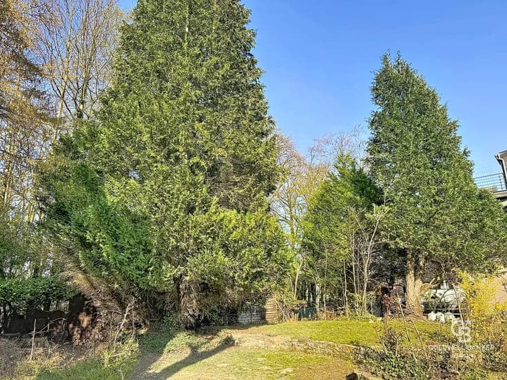 Set of 2 houses (approx. 324 sq. m.) with a spacious, tree-l