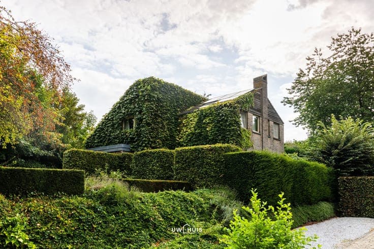 House in Temse