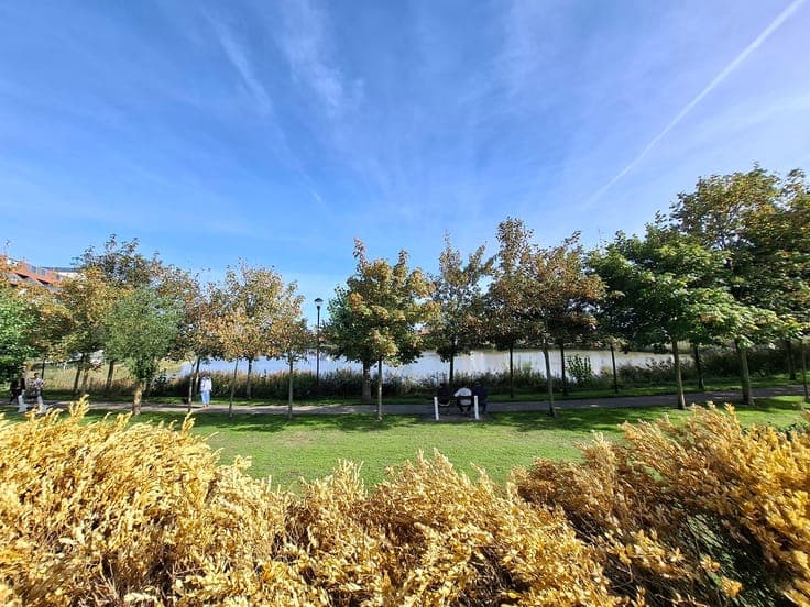 House in Knokke