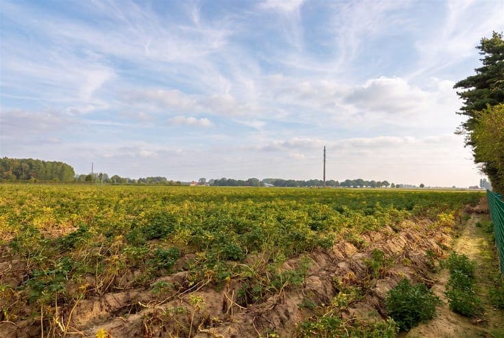 An open-concept home with a stunning view in Mullem!