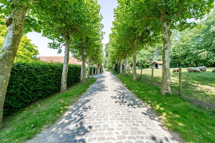 Zonnebeke