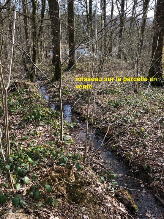 Exceptionally large building plot (6,400 m2) with chalet