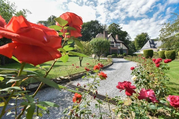 RARE propriété dans un parc arboré de +/- 65a