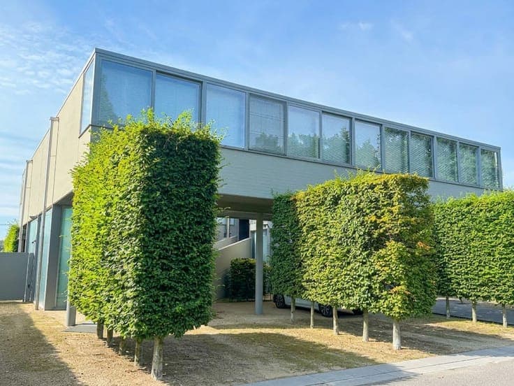 House in Dessel