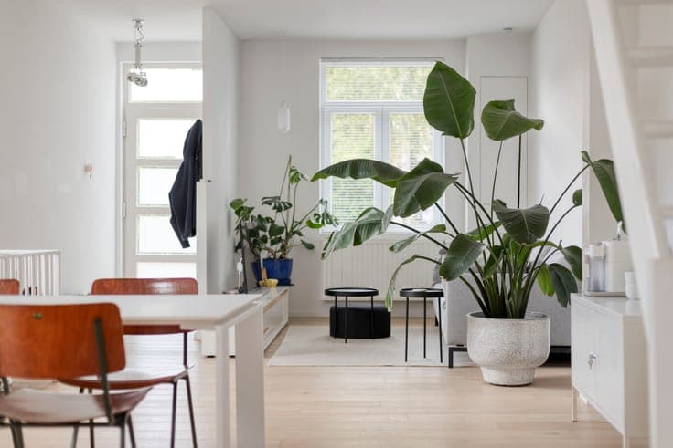 House in Ghent