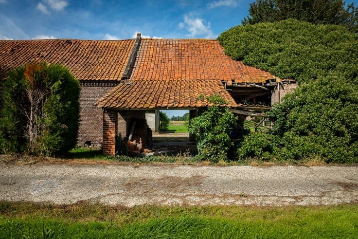 Farm with stable buildings on approximately 1 hectare in Br